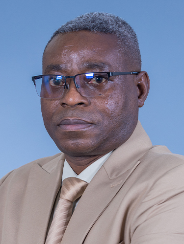Mr P Malima
